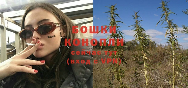 ECSTASY Медногорск