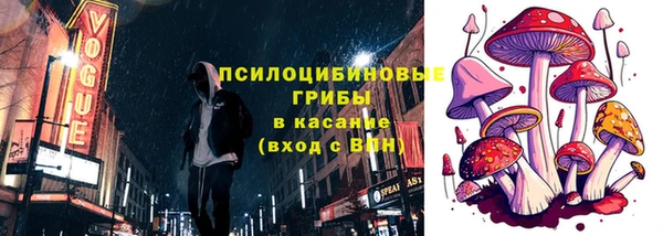 ECSTASY Медногорск