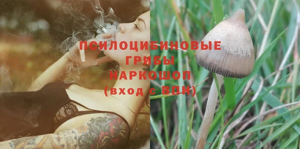 гашик Медвежьегорск