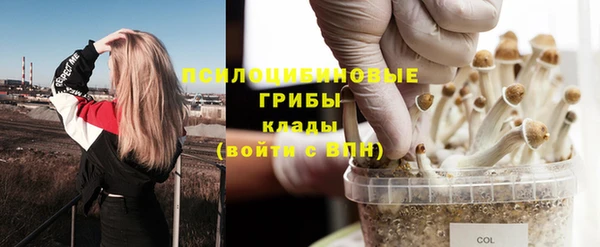 ECSTASY Медногорск
