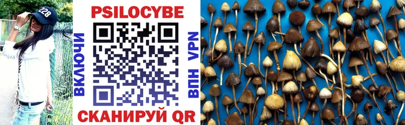 Псилоцибиновые грибы мухоморы  хочу   Покровск 