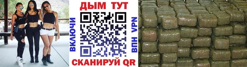 Бошки Шишки планчик  Покровск 